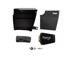 Forge Motorsport Induction Kit Mini | BMW 2015+