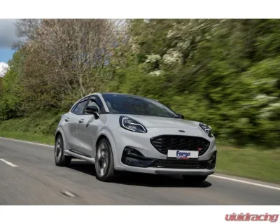 Forge Motorsport Inlet Hose Ford Fiesta ST MK8 | Puma ST - FMINLH21