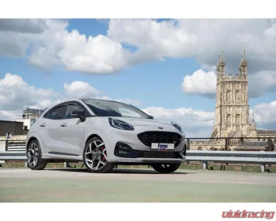 Forge Motorsport Inlet Hose Ford Fiesta ST MK8 | Puma ST - FMINLH21
