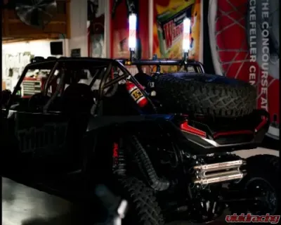 5150 Whips Nitestick Fat Whip Pair - WH-1701P