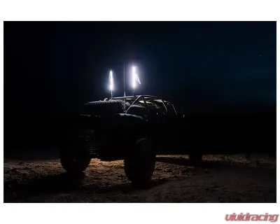 5150 Whips 2 Feet Hyper Whip (White) - WH-1202W