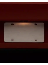 Raxiom Axial Series LED License Plate Lamp Dodge Challenger 2008-2014                                     - CH7126 - Image 6