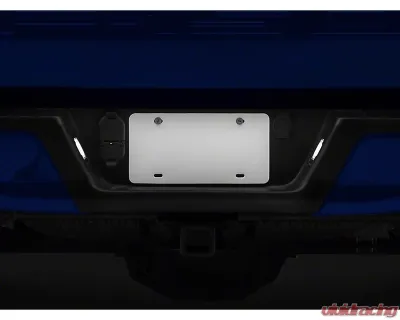 Raxiom Axial Series LED License Plate Lamps Ford F-150 2015-2023 - T542565