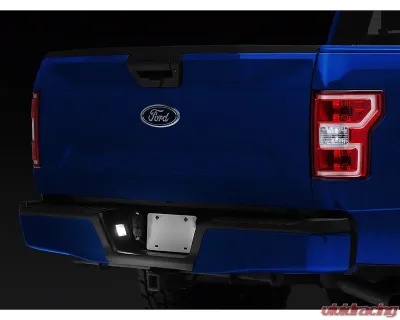 Raxiom Axial Series LED License Plate Lamps Ford F-150 2015-2023 - T542565