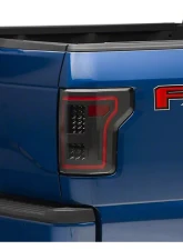 Raxiom Clear Lens Black Housing LED Tail Lights w/ Sequential Turn Signals Ford F-150 w/ Factory Halogen Non-BLIS Tail Lights 2015-2017                                     - T544625 - Image 8