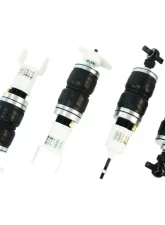 OdinSUS Struts Chevrolet Corvette C5/C6 1997-2012                                     - 0120080030 - Image 2