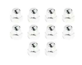 ZSPEC Design 10-Pack SUS304 Stainless Steel M8-1.25 Acorn Nuts