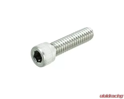 ZSPEC Design 10-Pack Stainless 1/4x20" SHSC Fasteners - 00843612104816