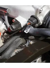 ZSPEC Design Green Stainless & Billet Dress-Up Bolts Fastener Kit Dodge Viper V10 2003-2006                                     - 00843612112934 - Image 5