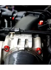 ZSPEC Design Bright White Stainless & Billet Stage 3 Dress-Up Bolts Fastener Kit Ford Mustang S197 3.7L 2005-2014                                     - 00843612114181 - Image 15