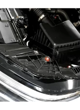 ZSPEC Design Gloss Purple Stainless & Billet Stage 3 Dress-Up Bolts Fastener Kit Nissan Froniter D41 2022+                                     - 00843612117670 - Image 5