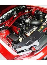 ZSPEC Design Orange-Gold Stainless & Billet Stage 3 Dress-Up Bolts Fastener Kit Ford Mustang V8 S197 2005-2014                                     - 00843612120816 - Image 2