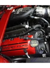 ZSPEC Design Orange-Gold Stainless & Billet Stage 3 Dress-Up Bolts Fastener Kit Ford Mustang V8 S197 2005-2014                                     - 00843612120816 - Image 9