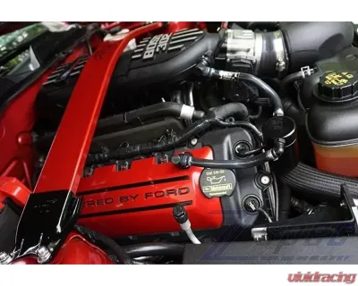 ZSPEC Design Orange-Gold Stainless & Billet Stage 3 Dress-Up Bolts Fastener Kit Ford Mustang V8 S197 2005-2014 - 00843612120816