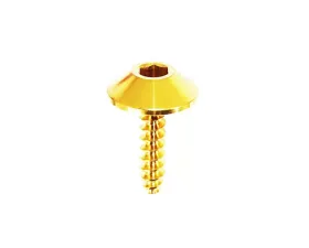 ZSPEC Design Gold Titanium Grade-5 Coarse M4x16mm Fastener
