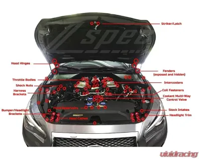 Zspec Design Stage 3 Dress-Up Fastener Kit for Infiniti Q50