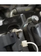 ZSPEC Design Matte Purple Stainless & Billet Stage 2 Dress-Up Bolts Fastener Kit Chevrolet Corvette C5 5.7L LS6 1997-2004                                     - 00843612140876 - Image 4