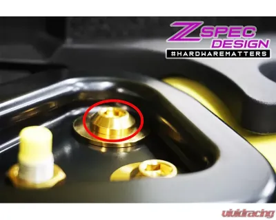Zspec Design M10-1.25x25mm Grade-5 Angled Dress-Up Bolts