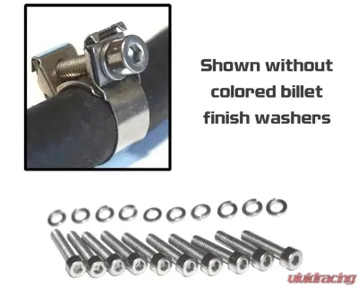 Zspec Design Stainless Fuel Clamp Dress-Up Bolts Kit for