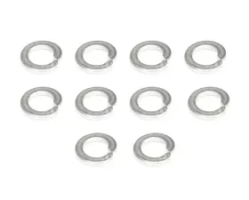 ZSPEC Design 10-Pack SUS304 Stainless M10 Lock Washers