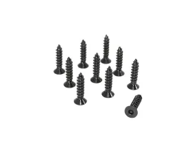 ZSPEC Design 10-Pack Black Stainless M5x20mm Coarse FHSC Fasteners