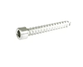ZSPEC Design 10-Pack Stainless M6x40mm Coarse SHSC Fasteners