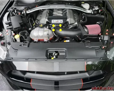 ZSPEC Design Dark Blue Stainless & Billet Throttle Body Fastener Kit Ford Mustang S197 | Mustang S550 V8 2005-2021 - 00843612198471