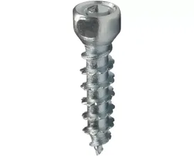 Woodys Boss Twist Screws 30mm 100/PK