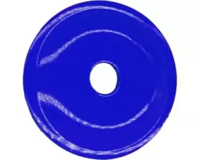 Woodys Round Grand Digger Support Plates 48/PK Blue