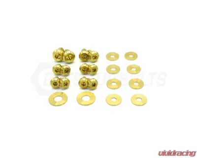 Dress Up Bolts Titanium Hardware Upper Fender Kit BMW F80 M3 2014-2018 - BMW-019-Ti-GLD