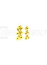 Dress Up Bolts Titanium Hardware Door Kit Chevrolet Camaro 2016+                                     - CHE-008-Ti-GLD - Image 3