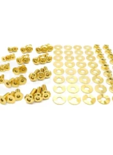 Dress Up Bolts Titanium Hardware Door Kit Dodge Charger 2015-2021                                     - DOD-006-Ti-GLD - Image 3