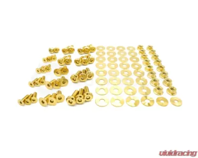 Dress Up Bolts Titanium Hardware Door Kit Dodge Charger 2015-2021 - DOD-006-Ti-GLD