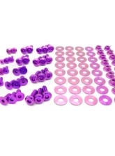 Dress Up Bolts Titanium Hardware Door Kit Dodge Charger 2015-2021                                     - DOD-006-Ti-PRP - Image 3