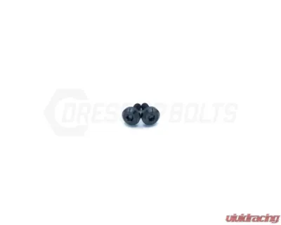 Dress Up Bolts Titanium Hardware Fuel Door Kit Dodge Charger 2015-2021 - DOD-007-Ti-BLK