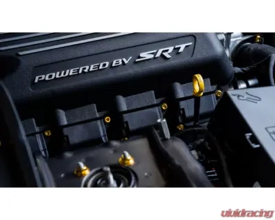 Dress Up Bolts Titanium Hardware Coil Pack Kit Dodge Charger 392 6.4L Hemi Engine - DOD-008-Ti-BLK