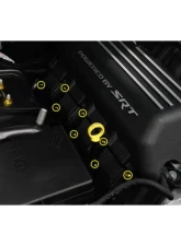 Dress Up Bolts Titanium Hardware Coil Pack Kit Dodge Charger 392 6.4L Hemi Engine                                     - DOD-008-Ti-BLK - Image 3