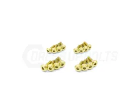 Dress Up Bolts Titanium Hardware Coil Pack Kit Dodge Charger 392 6.4L Hemi Engine