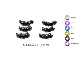 Dress Up Bolts Titanium Coil Pack Kit Chevrolet | Pontiac LS1 - LS6