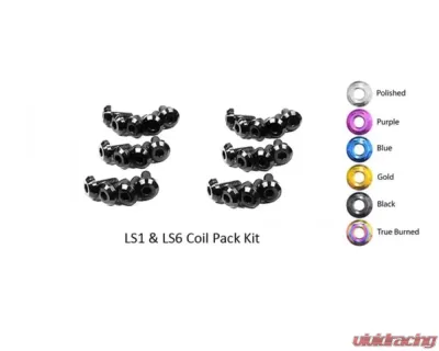 Dress Up Bolts Titanium Coil Pack Kit Chevrolet | Pontiac LS1 - LS6 - GM-001-Ti-BLK