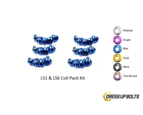 Dress Up Bolts Titanium Coil Pack Kit Chevrolet | Pontiac LS1 - LS6