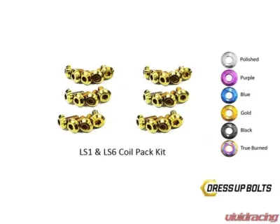 Dress Up Bolts Titanium Coil Pack Kit Chevrolet | Pontiac LS1 - LS6 - GM-001-Ti-GLD