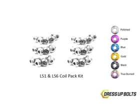 Dress Up Bolts Titanium Coil Pack Kit Chevrolet | Pontiac LS1 - LS6