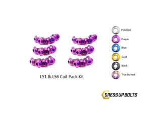 Dress Up Bolts Titanium Coil Pack Kit Chevrolet | Pontiac LS1 - LS6