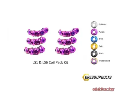 Dress Up Bolts Titanium Coil Pack Kit Chevrolet | Pontiac LS1 - LS6 - GM-001-Ti-PRP