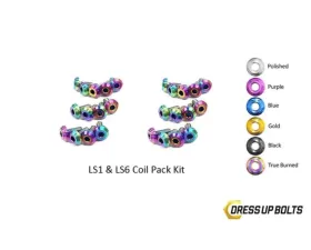 Dress Up Bolts Titanium Coil Pack Kit Chevrolet | Pontiac LS1 - LS6