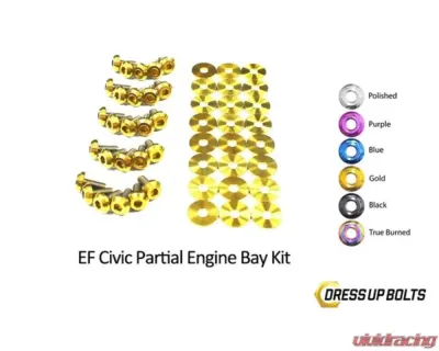 Dress Up Bolts Stage 1 Titanium Hardware Engine Bay Kit Honda Civic EF 1988-1991 - HON-031-Ti-GLD