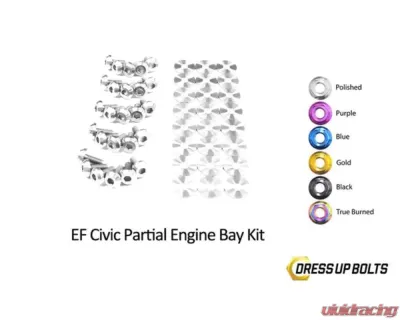 Dress Up Bolts Stage 1 Titanium Hardware Engine Bay Kit Honda Civic EF 1988-1991 - HON-031-Ti-POL