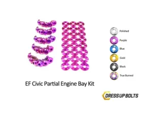 Dress Up Bolts Stage 1 Titanium Hardware Engine Bay Kit Honda Civic EF 1988-1991