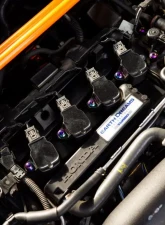 Dress Up Bolts Titanium Hardware Coil Pack Kit Honda Civic Si L15 Engine                                     - HON-050-Ti-POL - Image 3